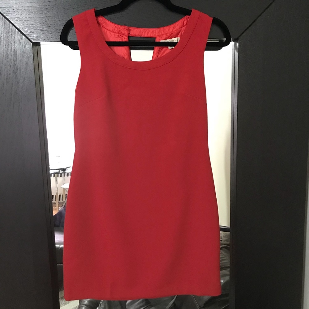 Perfect Mini red dress